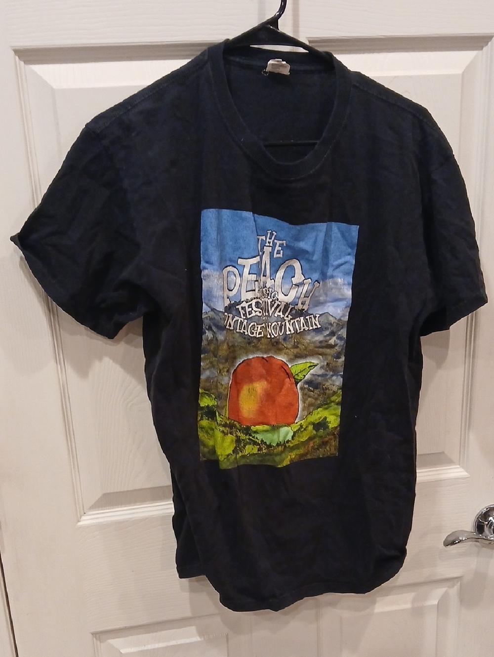 Anvil Black Short Sleeve Graphic Tee with Blue and Orange Print